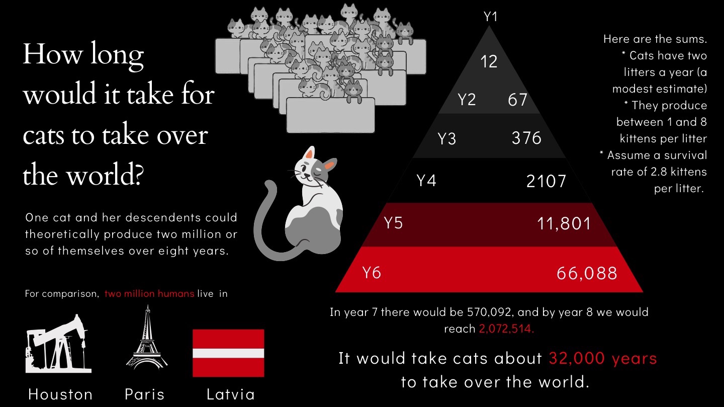 Infographic Cat Takeover by Clowder Press