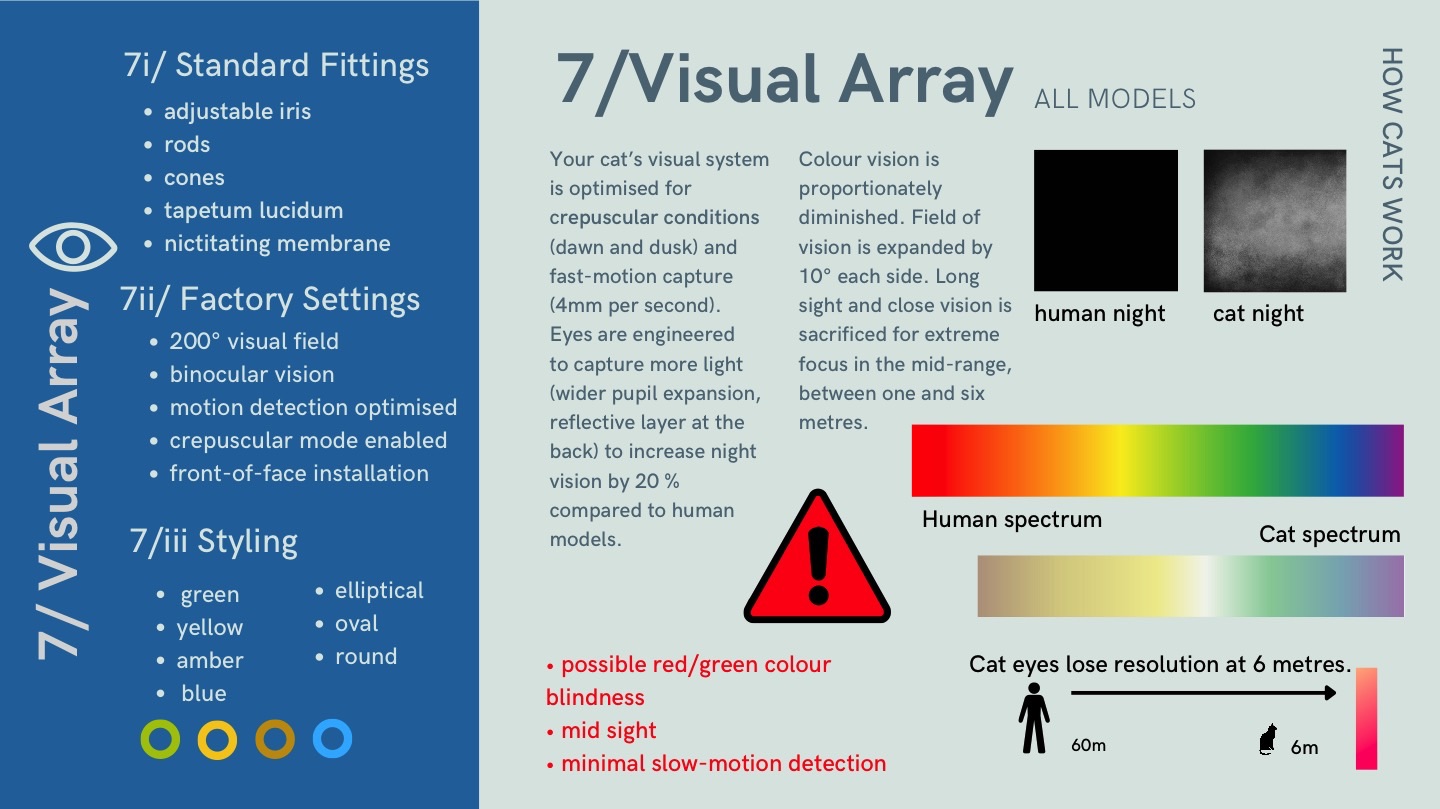 Visual Array How Cats Work Clowder Press