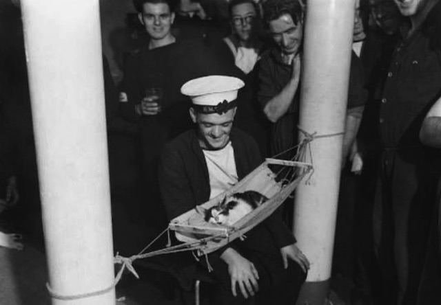 Ccat Convoy, HMS Hermione. Clowder Press