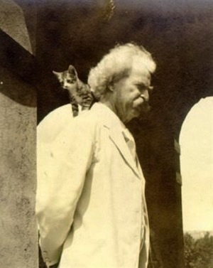 Mark Twain and Creative Cats