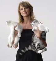 Taylor Swift with Cats-Clowder-Press